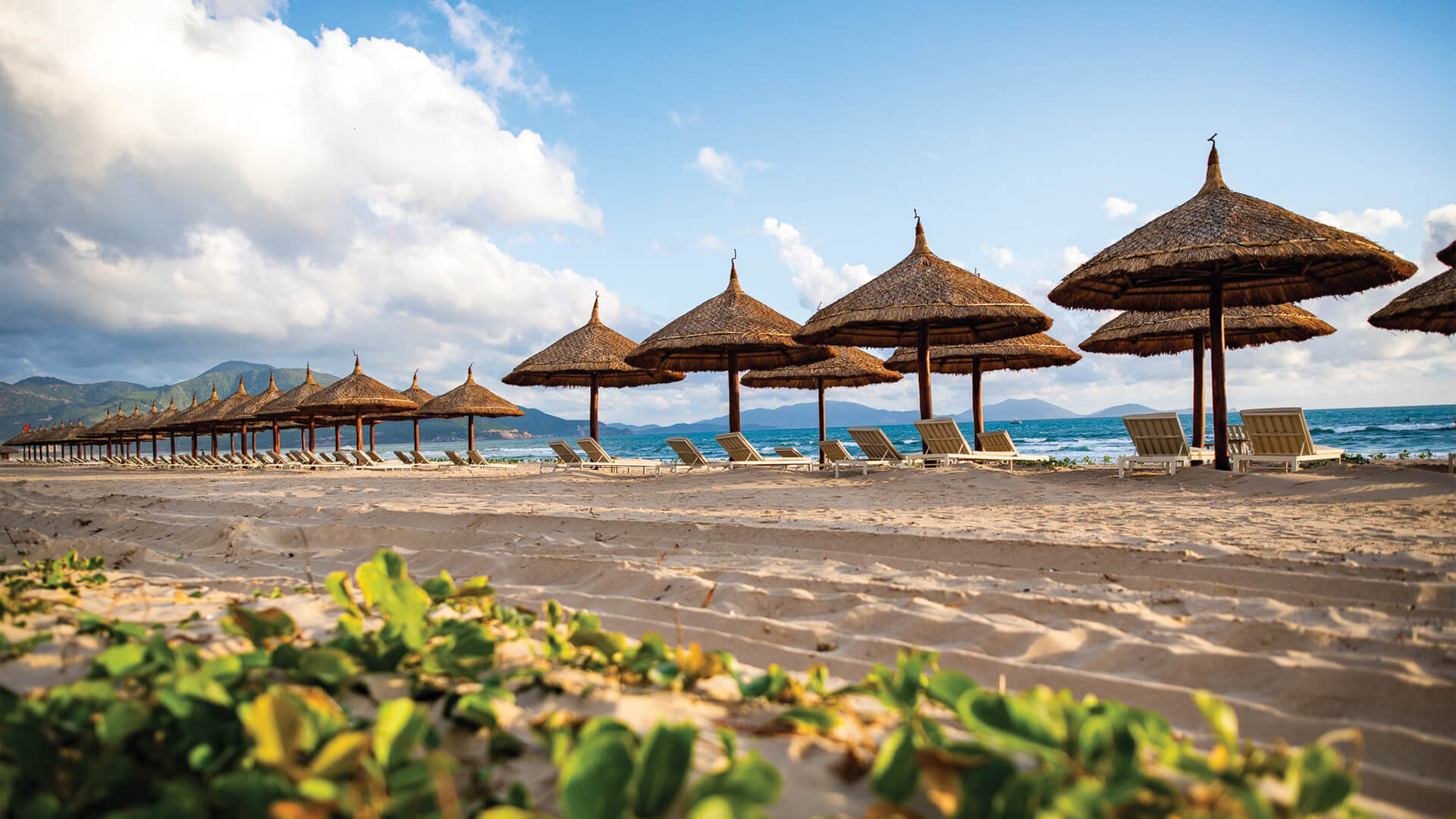 10 Magnificent Reasons to Choose Alma Resort