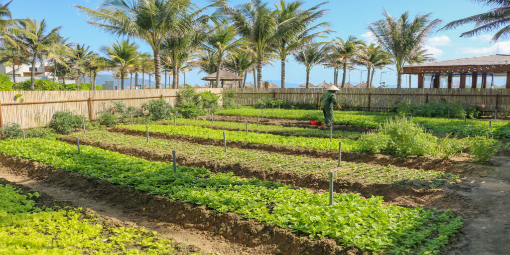 Alma Resort Farm Gardens 15 1498x749