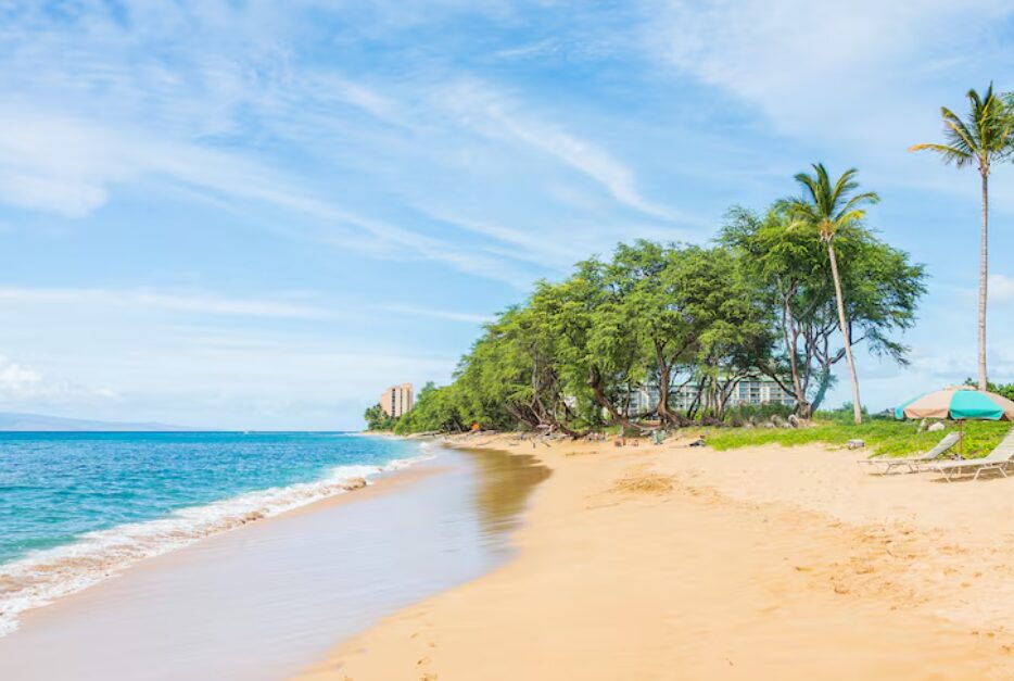 Visitors walking along the quiet shoreline at sunset, showcasing the peaceful atmosphere of the best time to visit Cam Ranh.