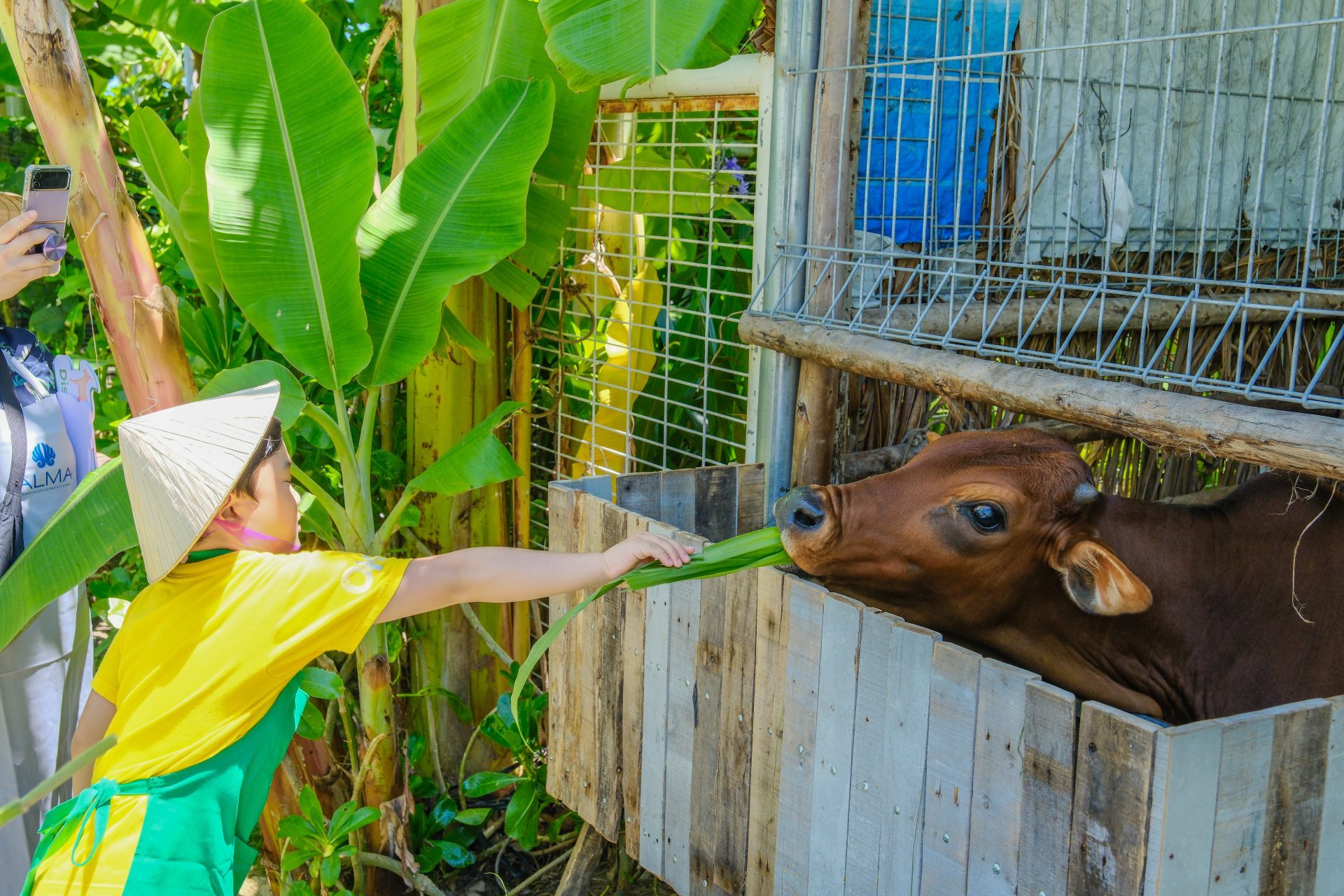 Family Resorts In Cam Ranh 1