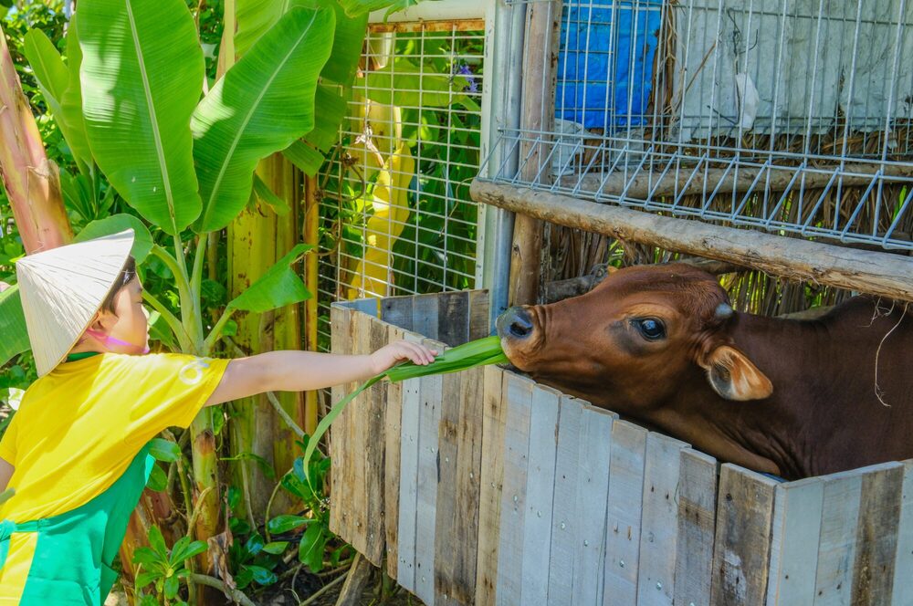 Cam Ranh Itinerary 9