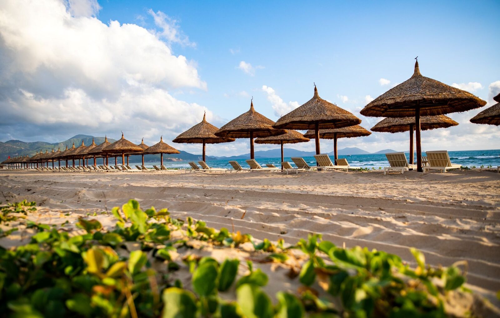 Modern conference room with ocean views and professional setup, showcasing premium corporate venues in Cam Ranh.